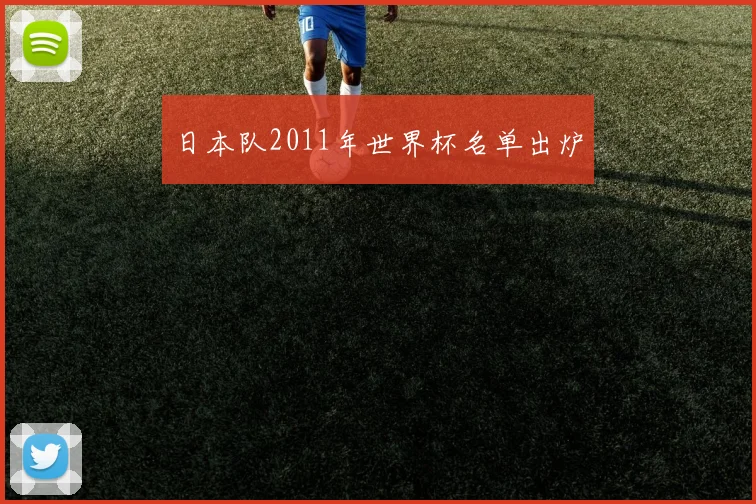 日本队2011年世界杯名单出炉